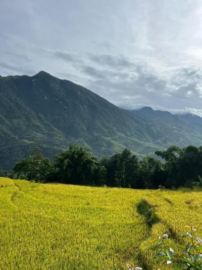 Khen Mong Nature Hotel – Foto’s 4